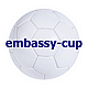 Internationales Botschafts-Hallenfußball-Turnier